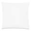 Junonia Square Pillow Cover & Insert