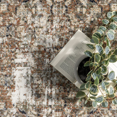 Aagna Distressed Medallion Power Loom Performance Brown/Gray/Ivory Rug