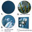 Bleu azur tulipes bleues II-97046665-97046661