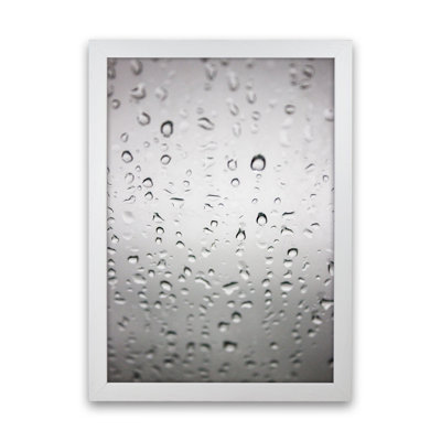 Touch of Rain 1 Piece Wall Art