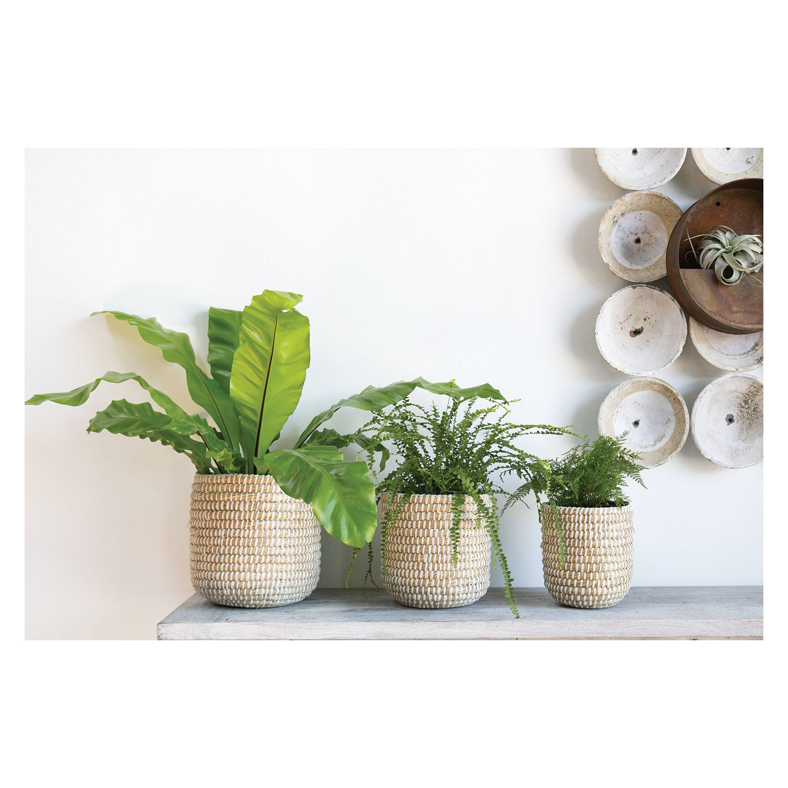 Abbs Pot Planter, 9.75" H x 10" W x 10" D