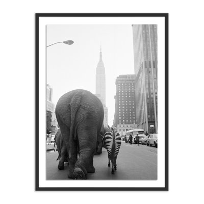 " Circus Animals 33Rd St " by Getty Images
