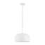 Aldyn Pendant-2047013978