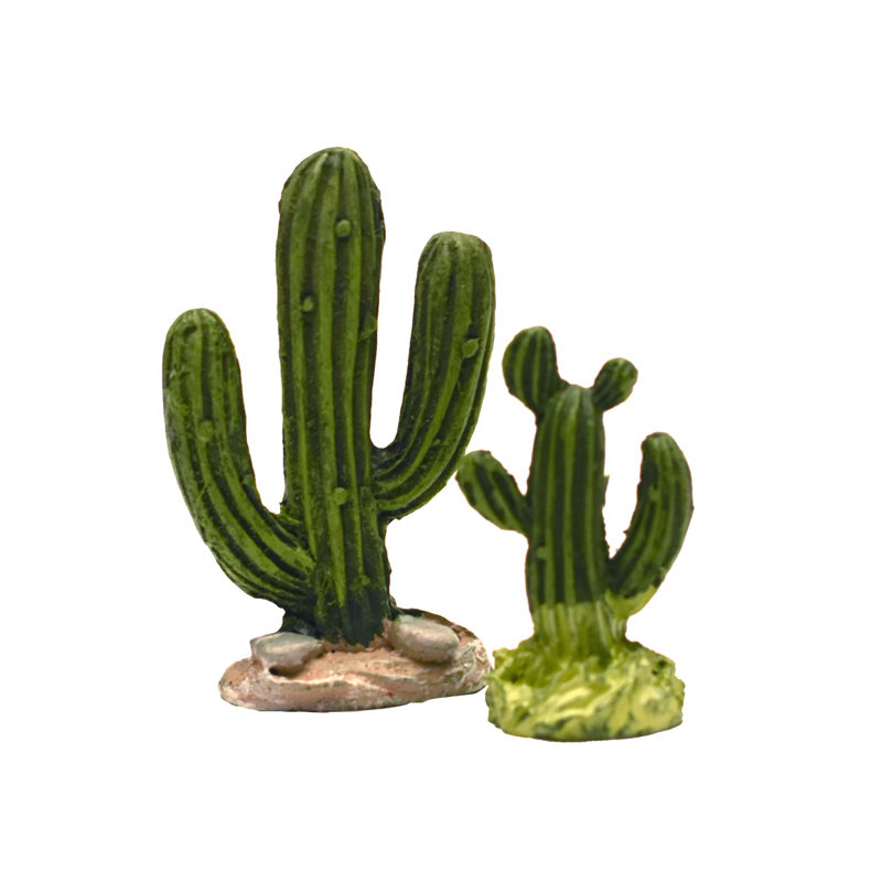 Figurine miniature de paysage de jardin de fée de cactus du désert