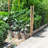 Fencer Wire 16 Gauge Galvanized Welded Wire Rabbit Guard Fence, Multiple Sizes-108517129