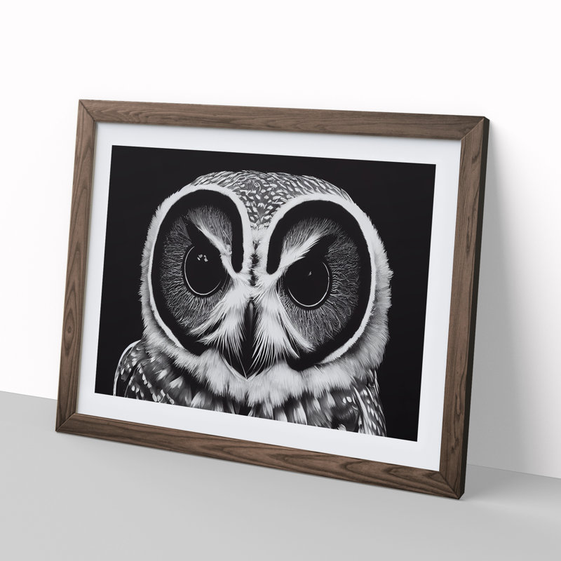 Timeless Owl - Single Picture Frame Print, 46cm H x 64cm W x 2cm D, Walnut Framed