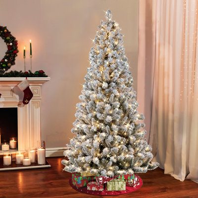 78' Lighted Pine Christmas Tree