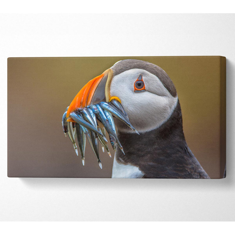 Puffin With A Mouthall Of Fish - Wrapped Canvas Print, 101.6cm H x 203.2cm W x 1cm D