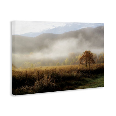 «Lifting Fog over Nature» par D. Burt