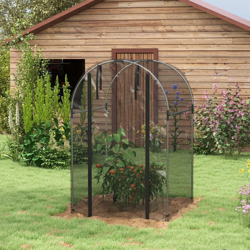 Galvanized Steel Crop Cage, Plant Protection Tent With Zippered Door, 4' X 4', Black, 3.9' W x 3.9' D, Black