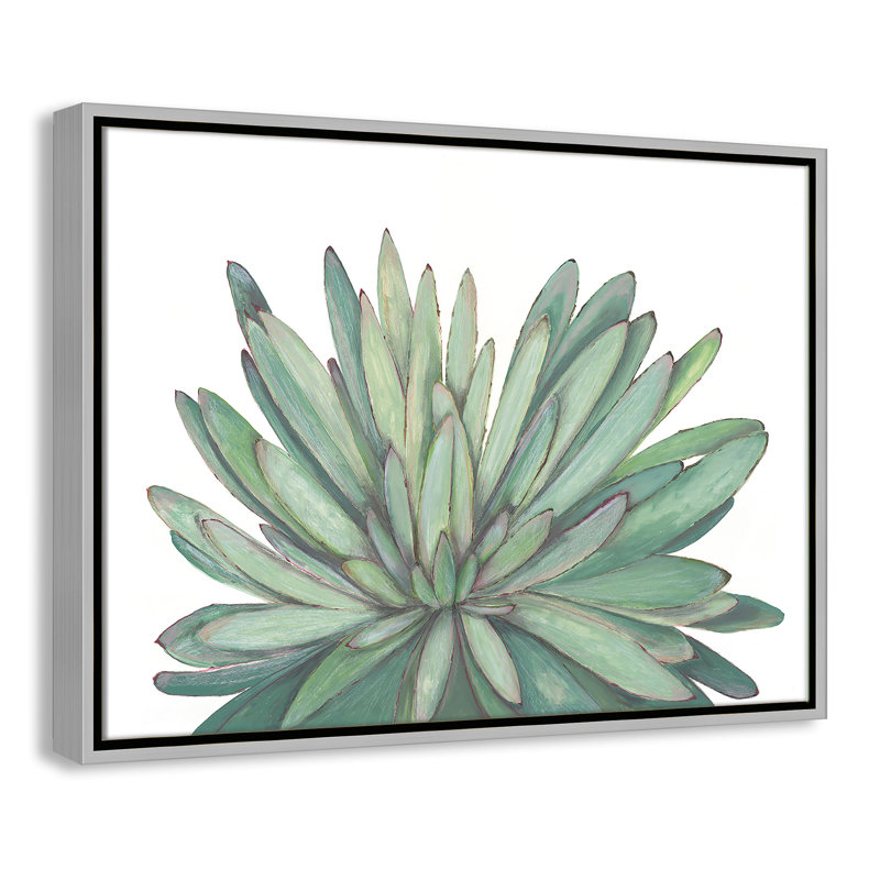 «Succulent - Floater Frame», reproduction d'art sur toile, H 18 po x l 24 po x P 2 po, Encadrement argenté