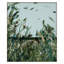 West Wind Moves Print by Frenz, Lesley-1672229916-1672229917