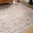 Claribel Oriental Indoor Rug