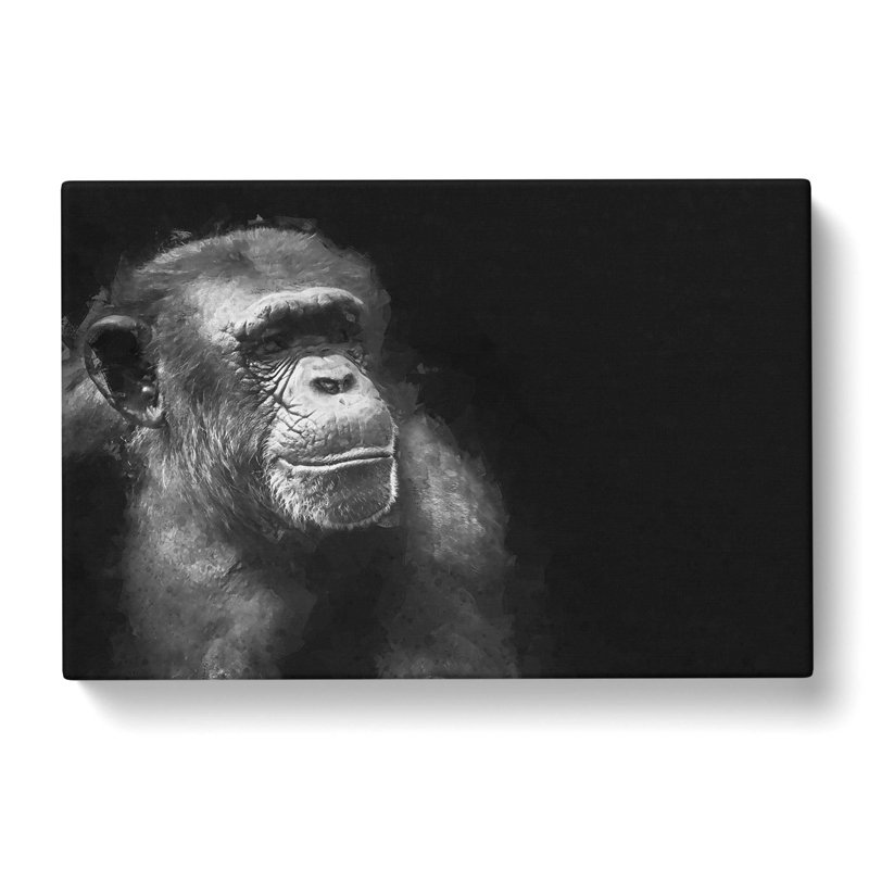 Ape In Abstract - Wrapped Canvas Print, 60cm H x 91cm W x 3cm D