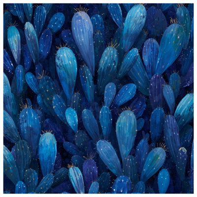 Cactus bleu succulent Cacti Bedding Cactus