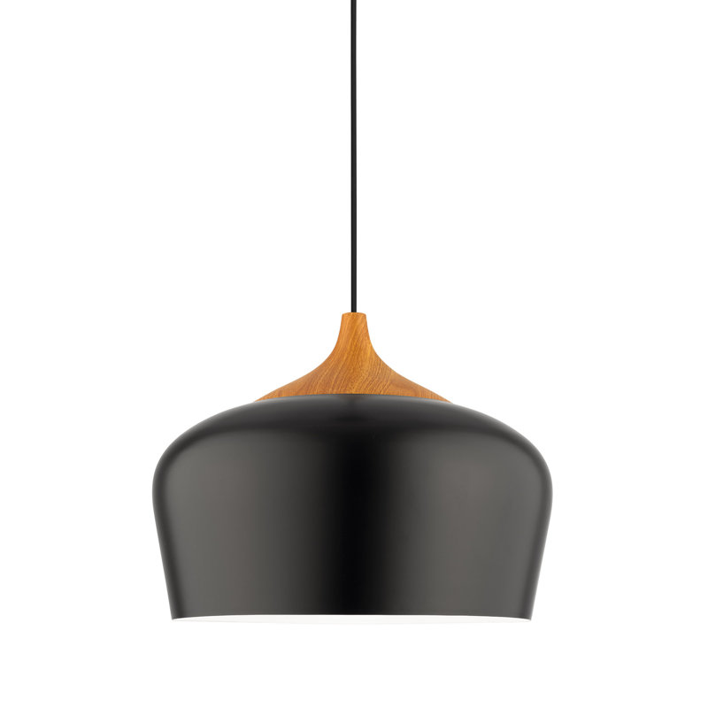 Olivia 1 - Light Dome Pendant, Black