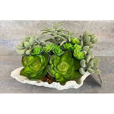 Silk Succulent Arrangement in Pot Primrue