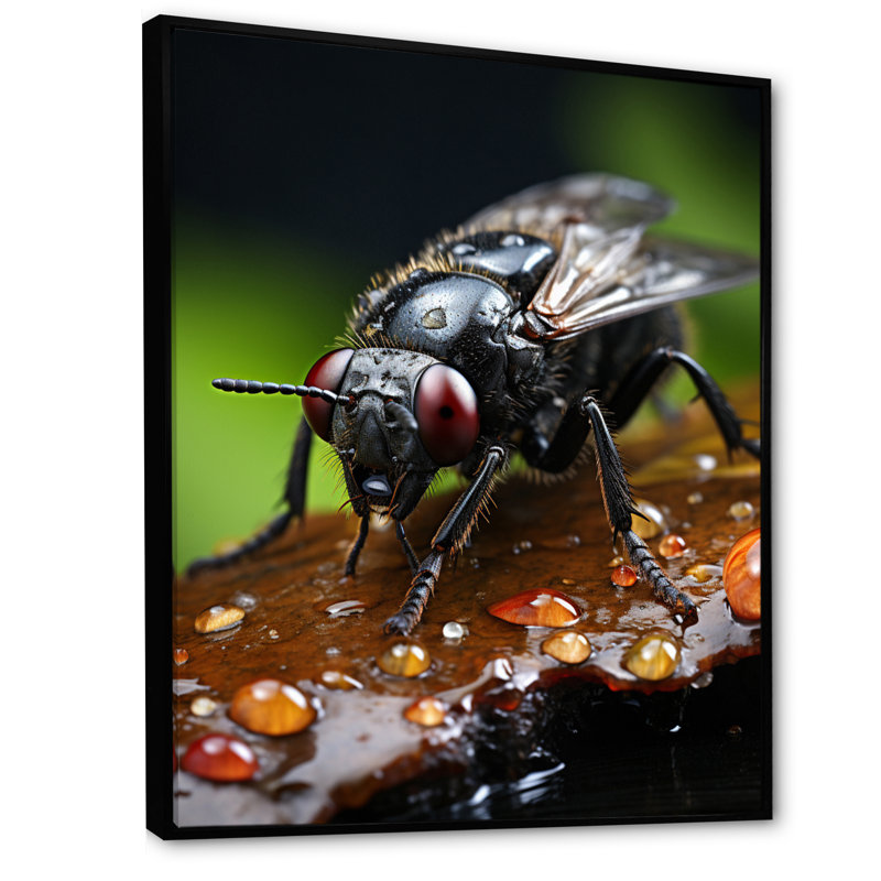 Insectes insectes, portrait I - animaux, décoration murale, H 20 po x l 12 po x P 1 po, Cadre flottant noir