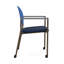 Chaise d'invité à chat avec roulettes-98881934-98671337