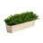 8'' Faux Eucalyptus Plant in Wood Planter