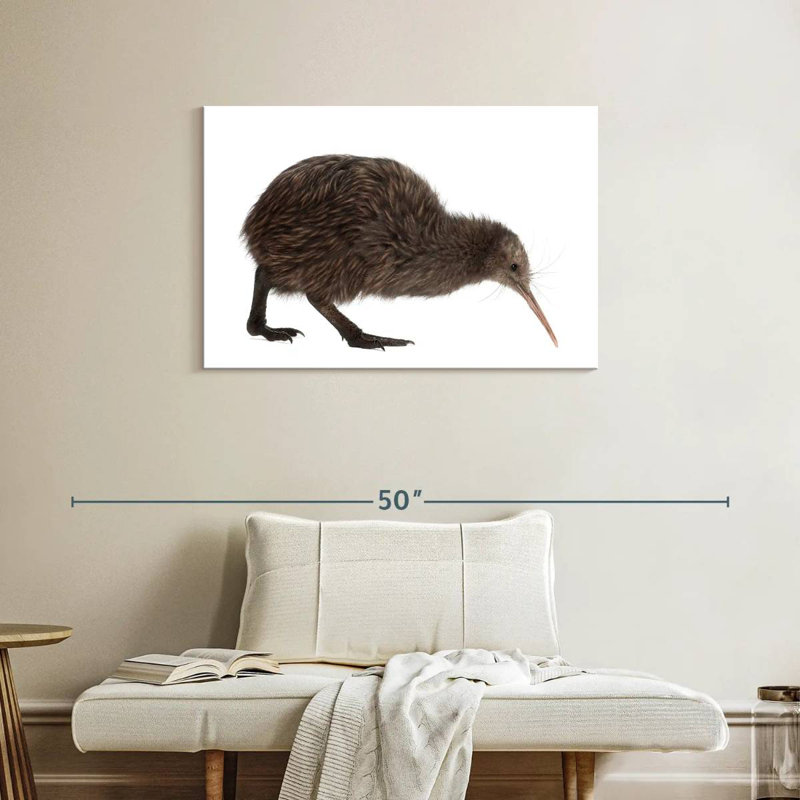 Kiwi Bird, 24" H x 36" W