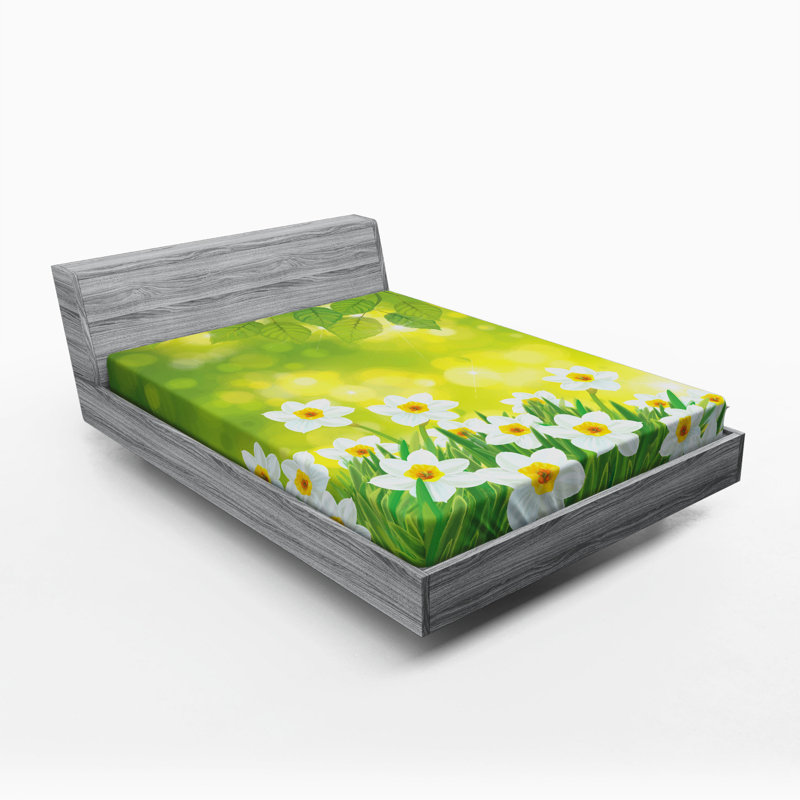 Drap-housse jonquille, Double