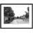 Lancing, North Street C1955 by Francis Frith - Single Picture Frame Print-51298672