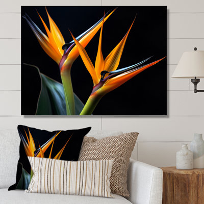 " Birds Of Paradise Flowers II "