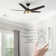 Fundora Ceiling Fan with LED Lights