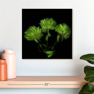 Harnek Green Pompons