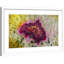 Single Picture Frame Print-20133431