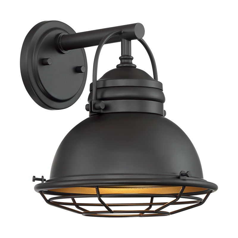 Luminaire de grange d'extérieur à 1 ampoule Ankur, H 11 po x l 9,75 po x P 10,5 po, Bronze foncé / Or, Bronze