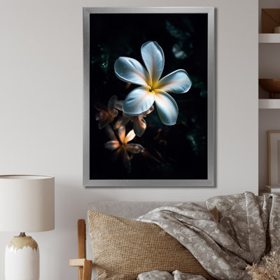 Blanc et noir exotique Plumeria Bloom III