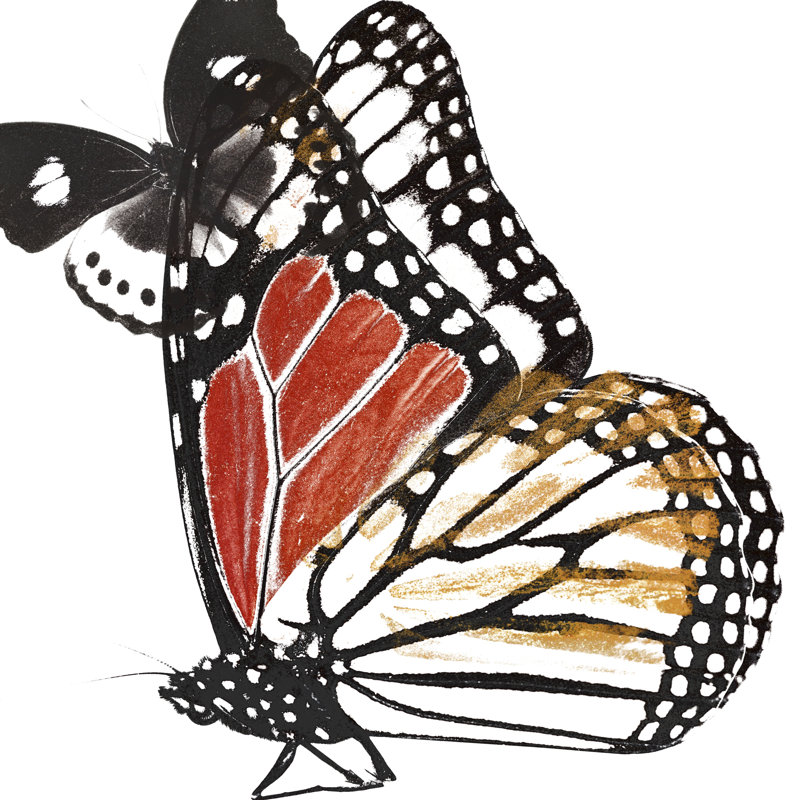 Butterflies Dance IV, H 12 po x l 12 po x P 1,25 po