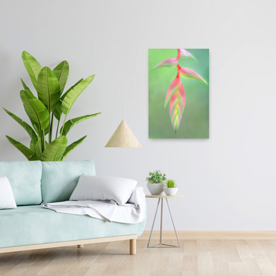Heliconia Flower Sarapiqui Costa Rica Contemporary Flower Art