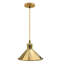 Moravian 1 - Light French Gold Pendant
