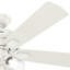Ventilateur de plafond standard à 5 pales de 52 po avec chaîne de traction et ensemble d'éclairage inclus Crestfield-32727862