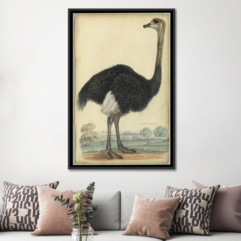 «The Ostrich», reproduction sur toile, H 26 po x l 18 po x P 1,5 po, Toile avec cadre noir, Pas de tapis