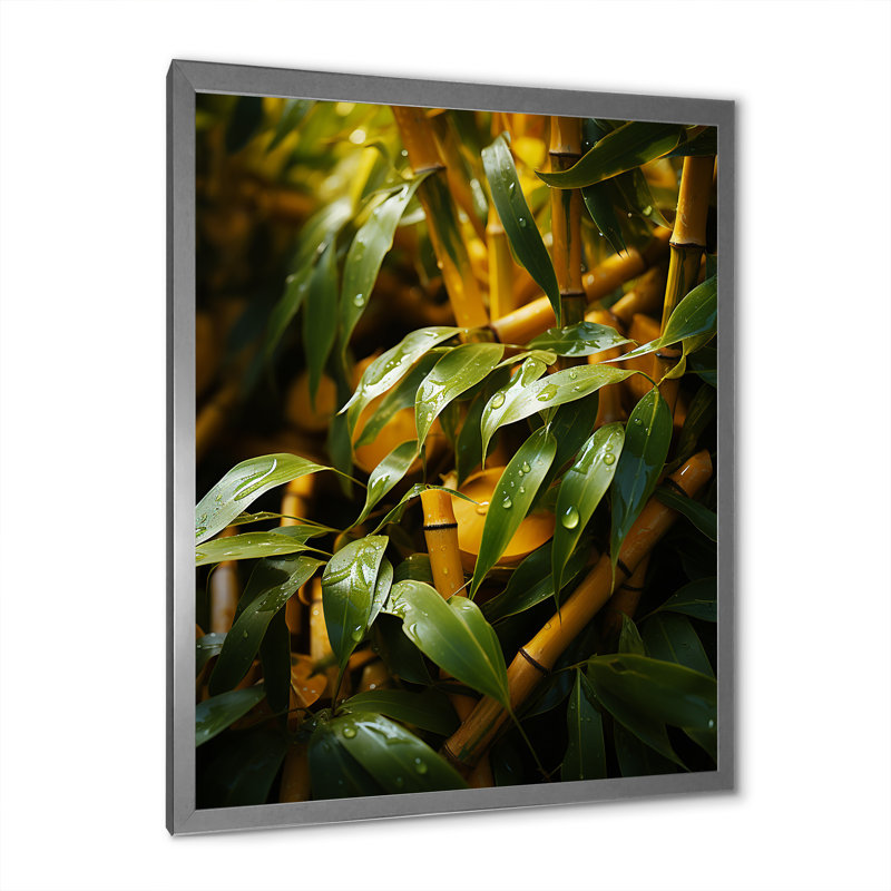 Bamboo Sunset photographie IV - impression sur toile de bambou_106583, H 40 po x l 30 po x P 1,5 po, Cadre photo argenté