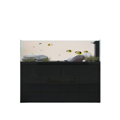Simple Modern Rectangular Eco Aquarium Tank