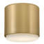 Hinkley Cedric Flush Mount Flat-1354030739