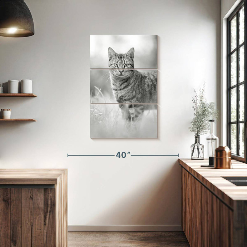 Chat gris Brampt, H 38 po x l 24 po