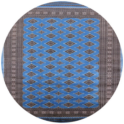 Janiyah Oriental Indoor Rug