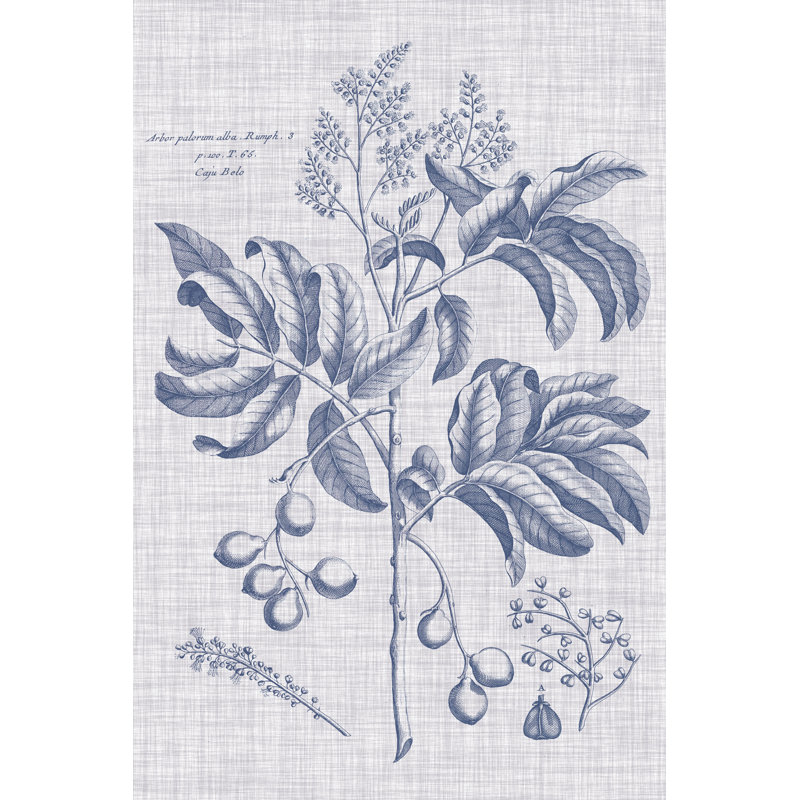 Navy & Linen Botanical IV by Vision Studio - Wrapped Canvas Print, 46cm H x 30cm W x 3.8cm D