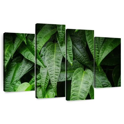 Harnek feuilles de plantes fraîches
