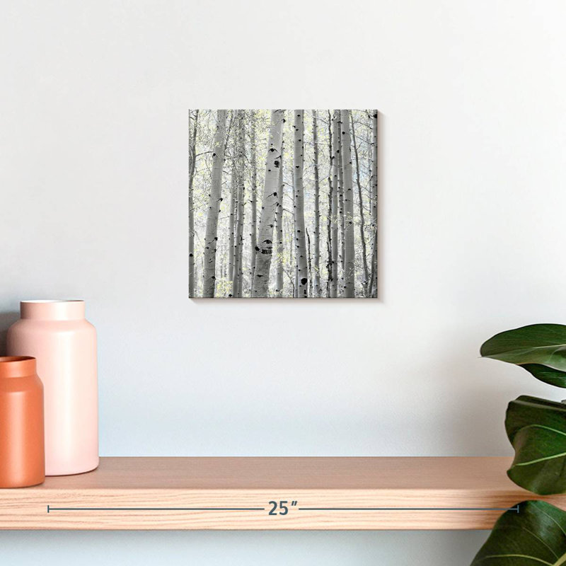 Harnek Aspen Square II, H 10 po x l 10 po