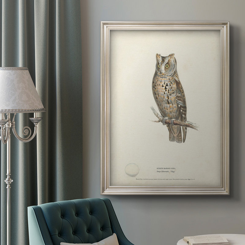 «Scops - Eared Owl Scops» - reproduction de cadre photo sur toile, L 21 po x H 25 po