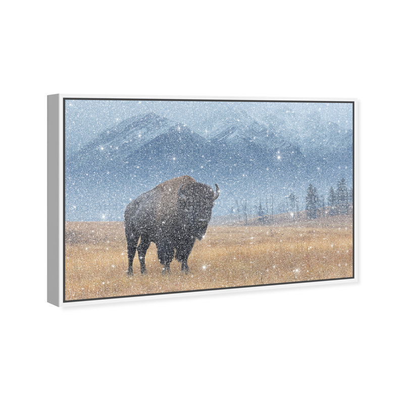 Mountain Bison I Print by Oliver Gal, 11" H x 16" W, White Floater Frame