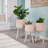 Neutral Boho Wicker Planter Stand Set, Versatile Indoor Garden Decor-1673631524-1673631531