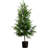  5ft. Artificial Norfolk Pine Tree